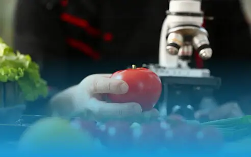 Applied Food Innovation (1)
